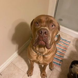 Meet your Posher, Darren